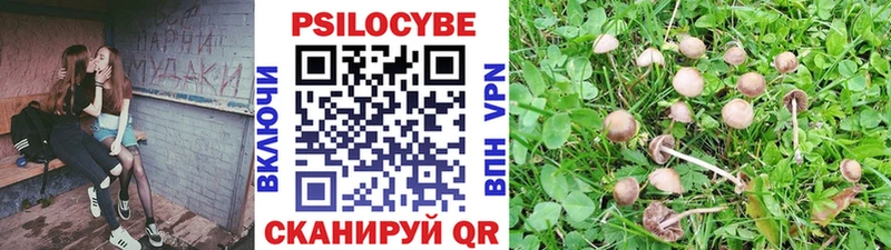 Галлюциногенные грибы Magic Shrooms Артёмовск